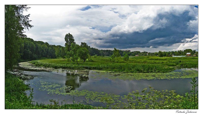 клязьма, болшево, река, У реки Клязьма... фото превью