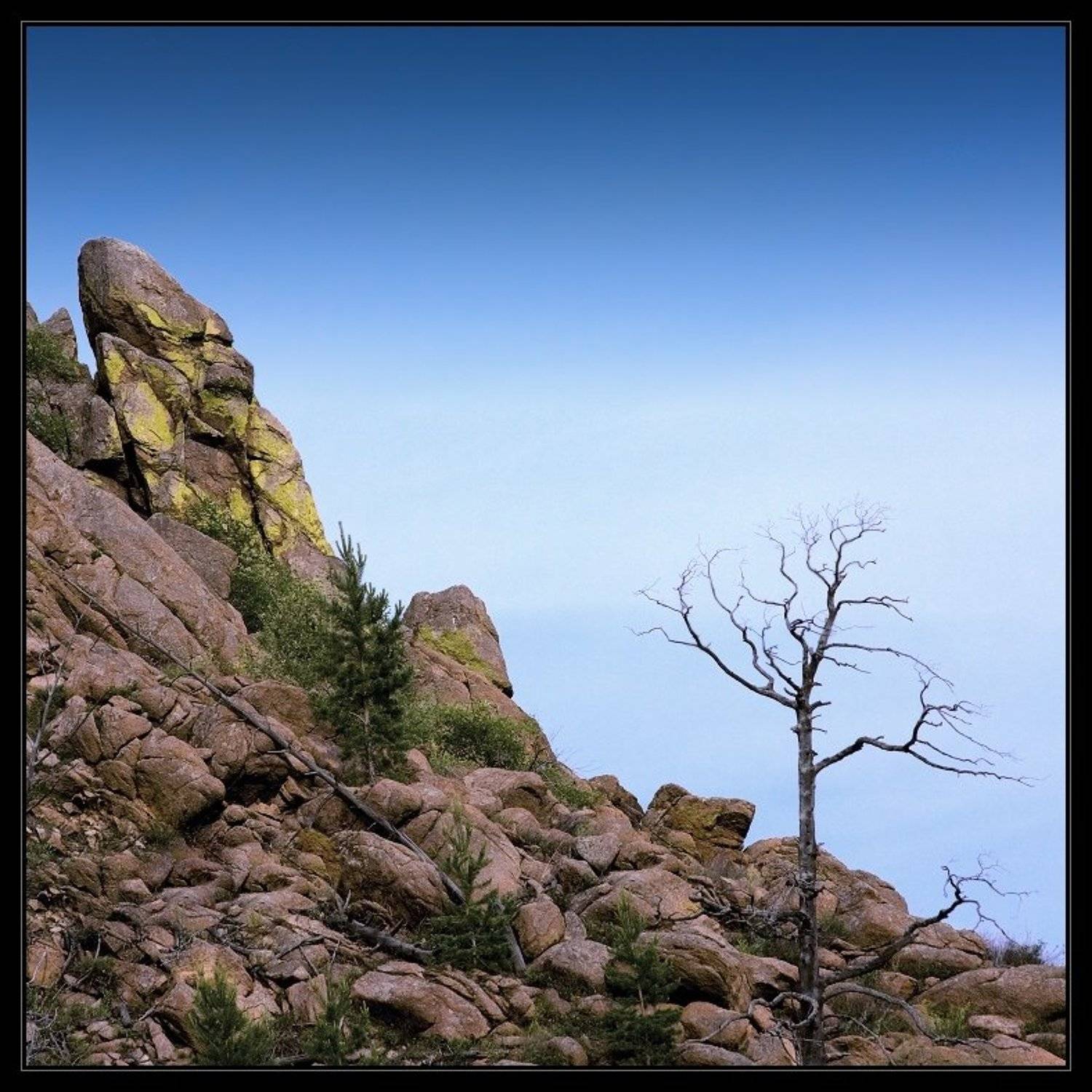 бурятия, горы, небо, обезьяна, i_GO