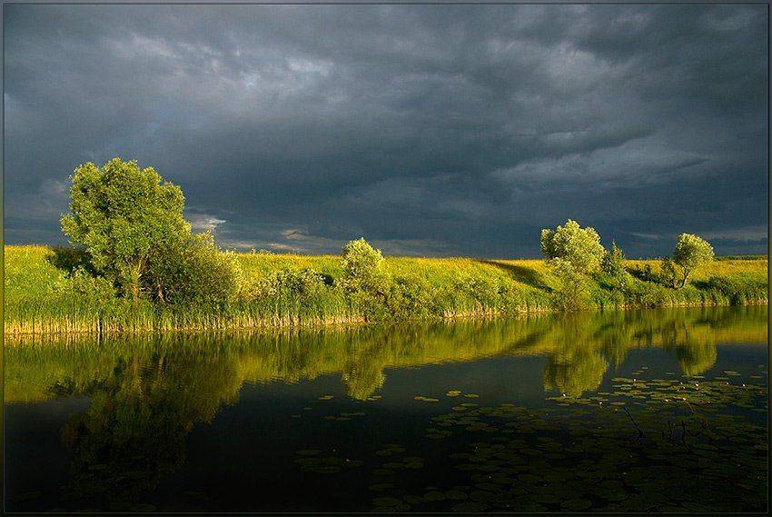 лето,озеро,деревья,вода,кувшинки,гроза, Partner