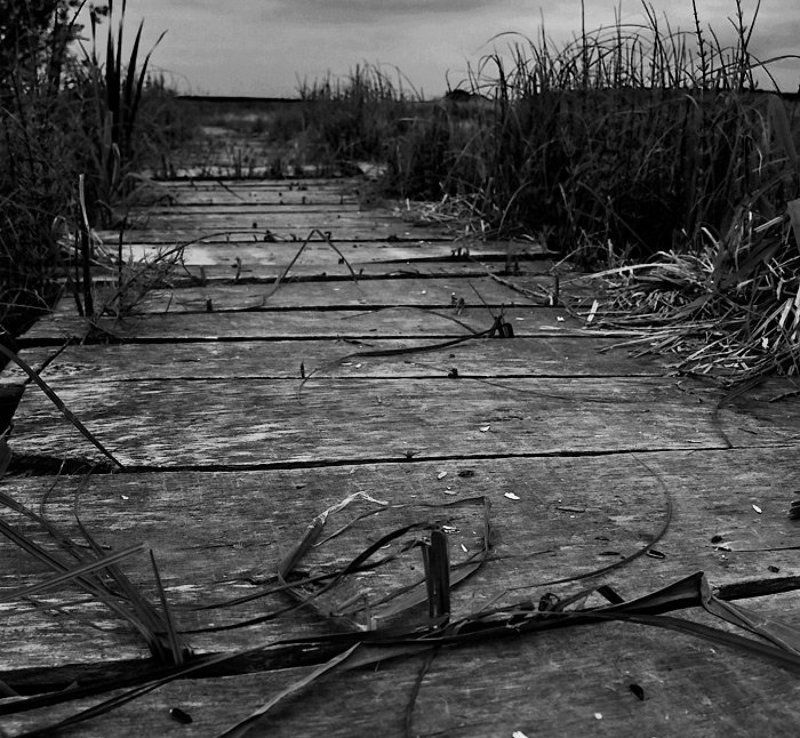 Дорога к водяному фото превью