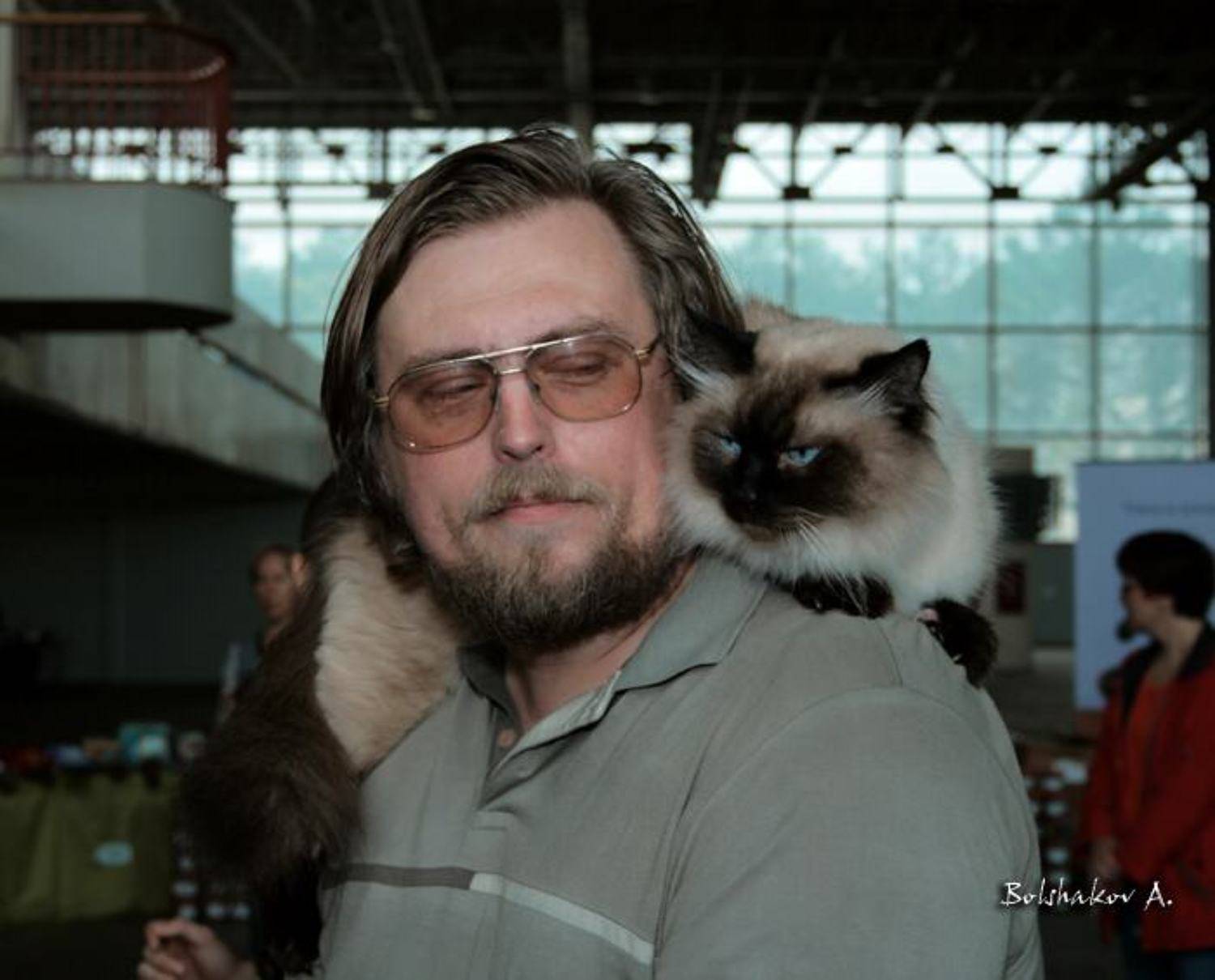 алексей, елисей, выставка, кот, Большаков Александр