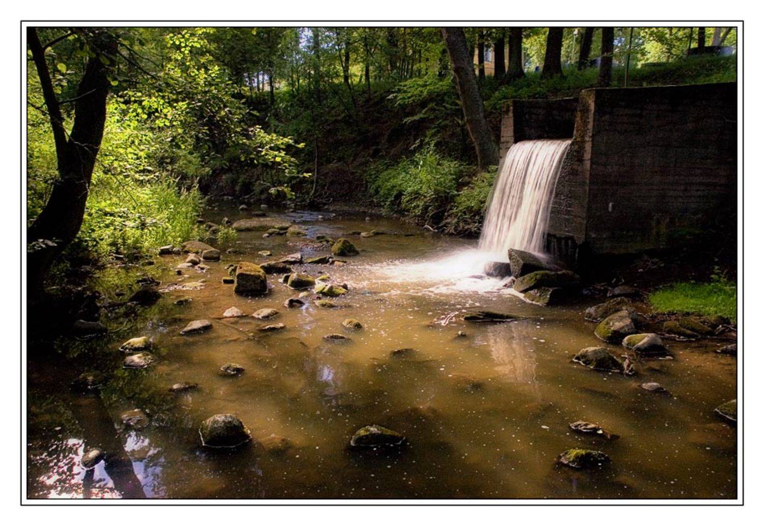 ораниенбаум, Лычёв Александр