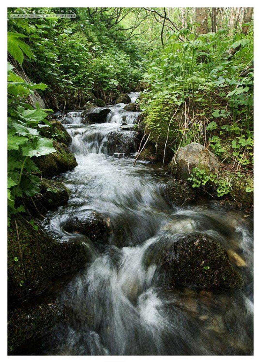 камчатка, петропавловск-камчатский, ручей, водопады, Артем Безотечество