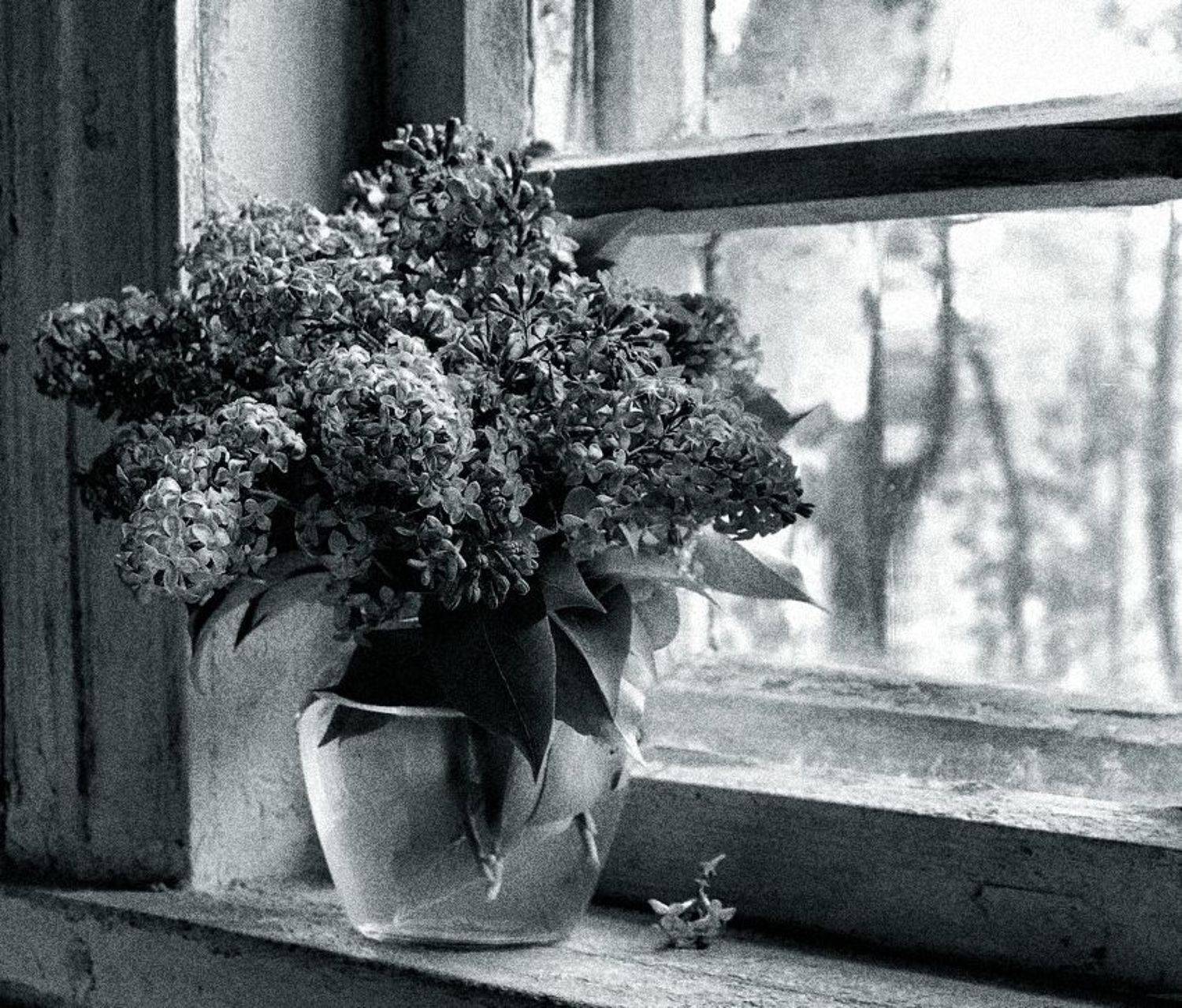 , Патрикеев Александр