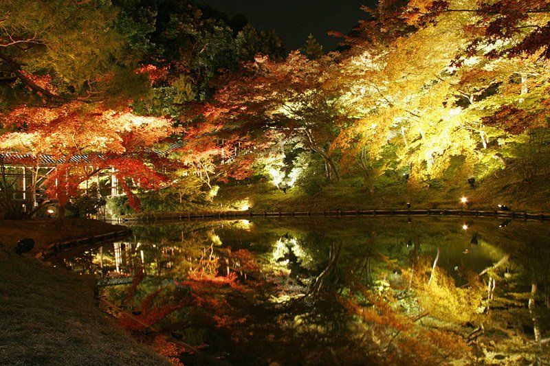 осень, пруд, вода, киото, кодай-дзи, япония Монастырь Кодай-дзи. Киото фото превью