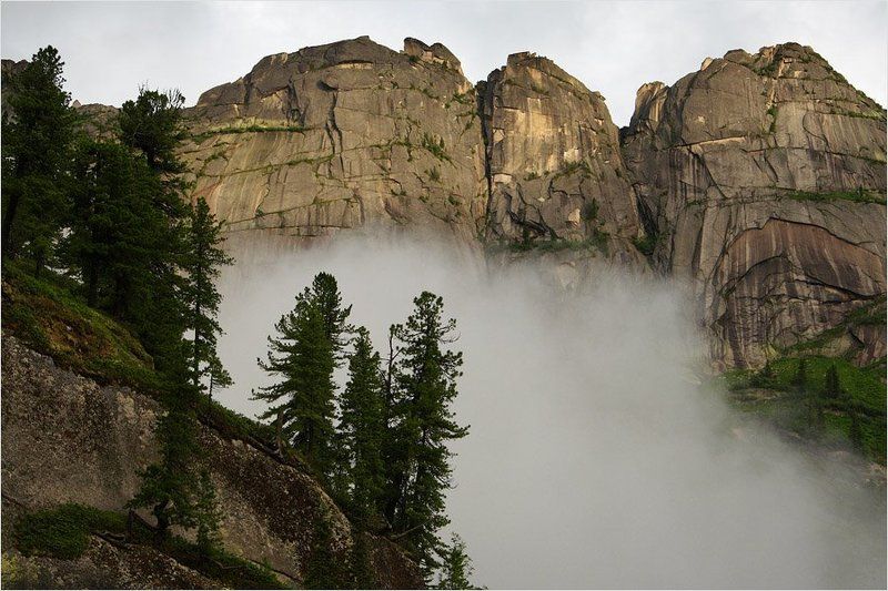 *** фото превью