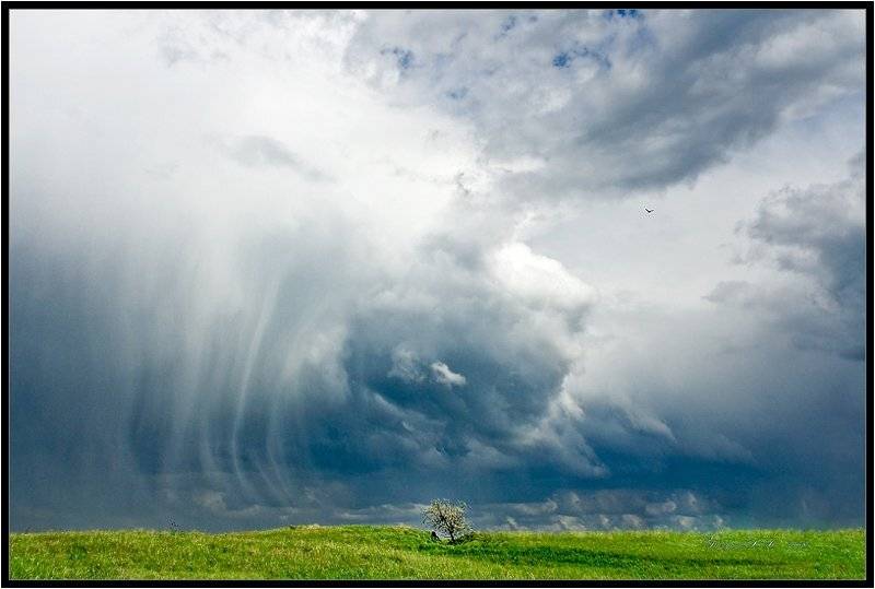 стихия,небо,тучи, Качурин Алексей