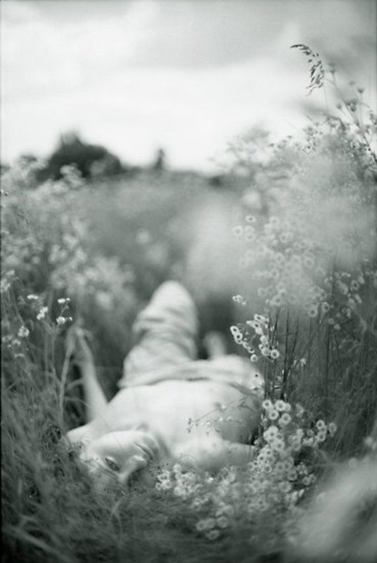 В ромашках фото превью