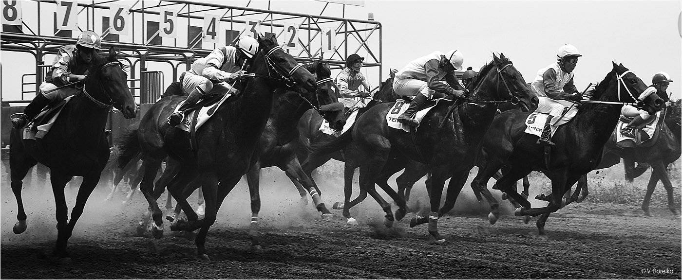 скачки, Вадько