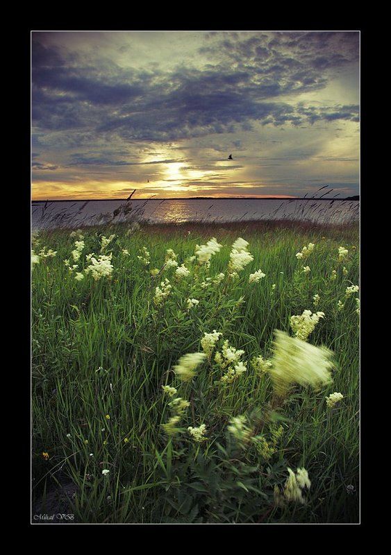 вечером на заливе фото превью