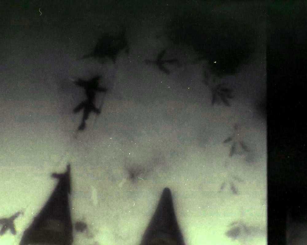 nina_in_ecstasy, Deep in Violet