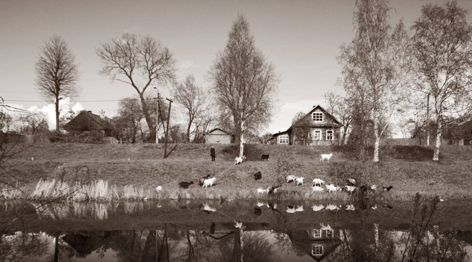 шлиссербург,козы,выгул,домик,канал, Евгений Пугачев.