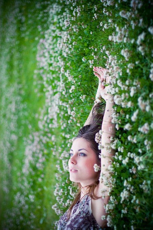 дождь клеверный космос фото превью