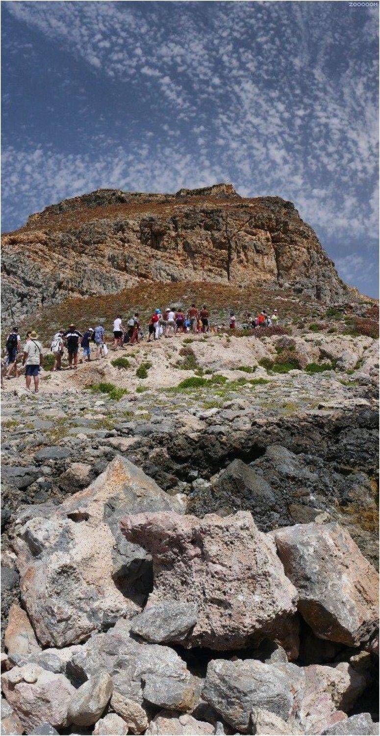 крит, Алексей (zooooom)