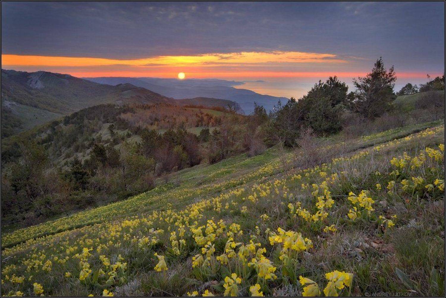 крым, рассвет, солнце, море, горы, утро, photohunter,, Андрей Житков