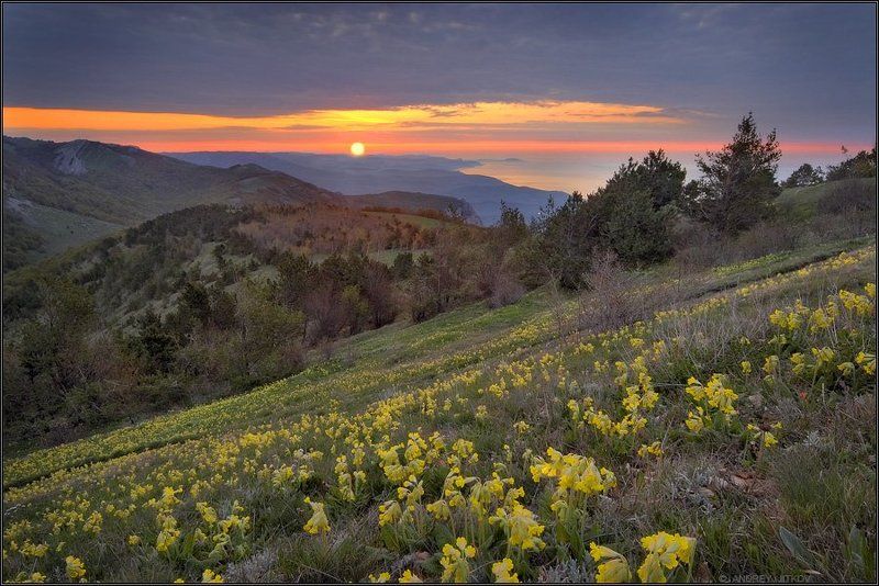 крым, рассвет, солнце, море, горы, утро, photohunter, * * * фото превью