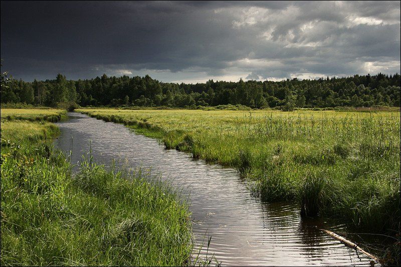 болото, мелиорация, канава, поле, трава, лес, горизонт, туча, небо, облако, дождь, лето, день, солнце, dyadyavasya Мелиоративный пейзаж фото превью