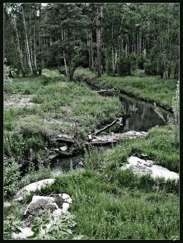 , Наталья Захарова