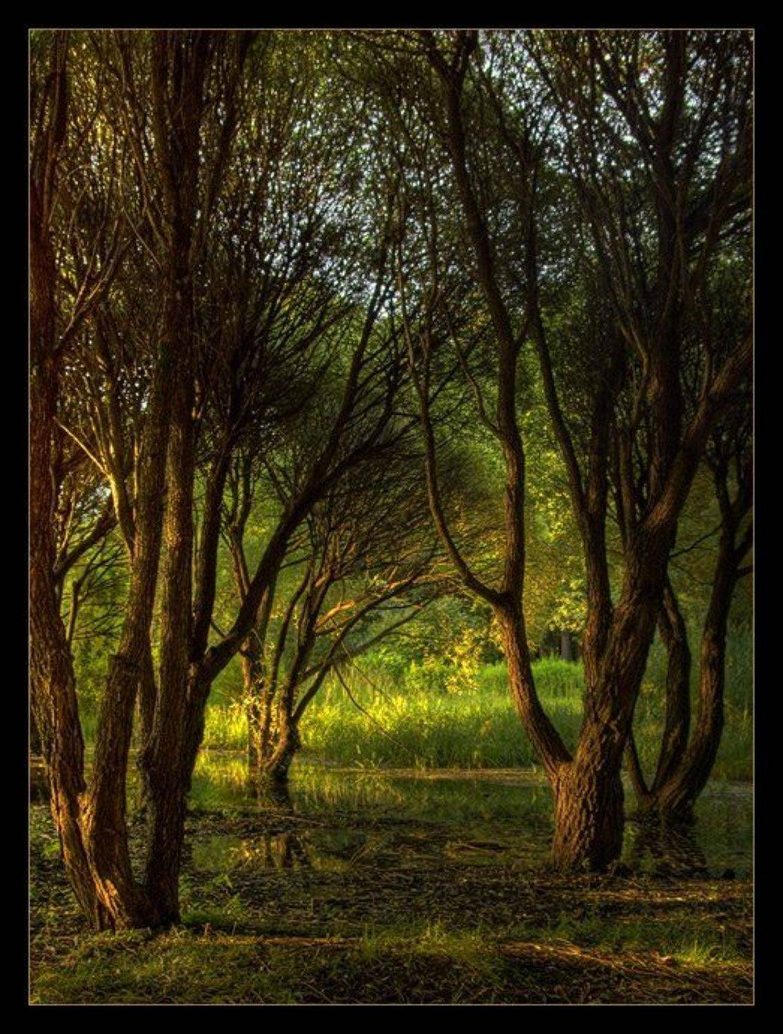 , Екатерина (PhotoJourneys.ru) Васягина