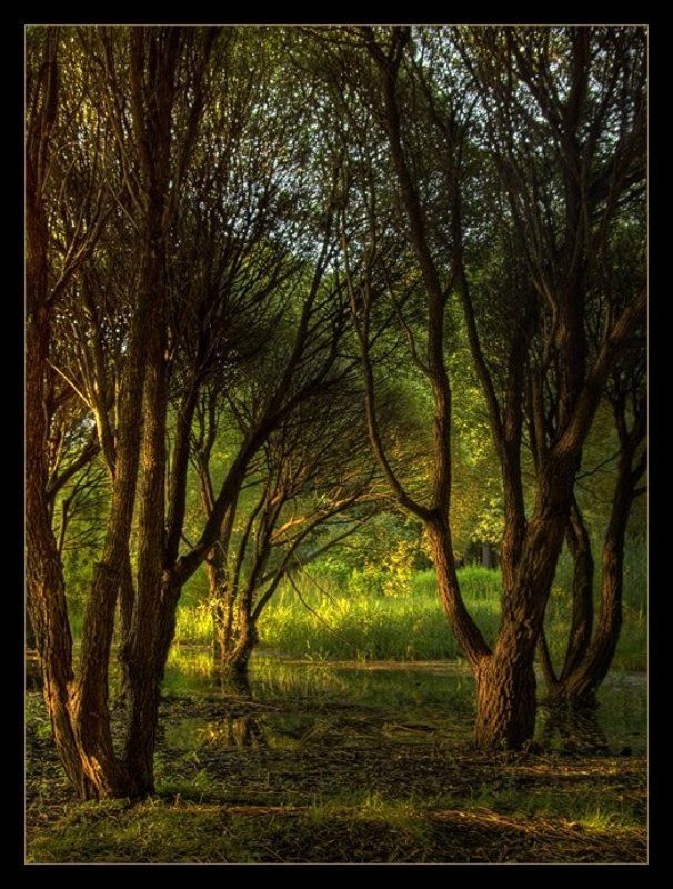 Сказочный уголок... фото превью