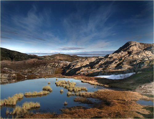 Июнь на берегах Северного-Ледовитого...
