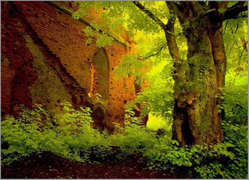 Руины замка Бальга фото превью