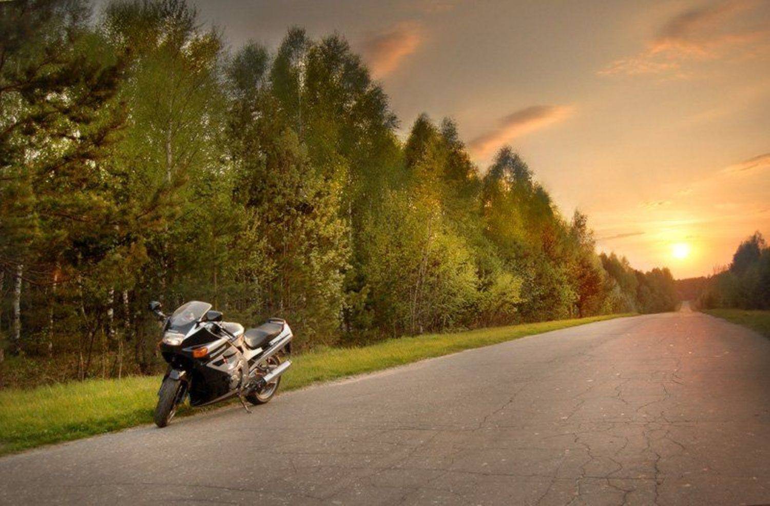 kawasaki, вядь, Айрин