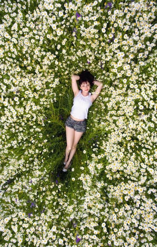 ромашки, лето, поле, девушка упасть в ромашки... фото превью