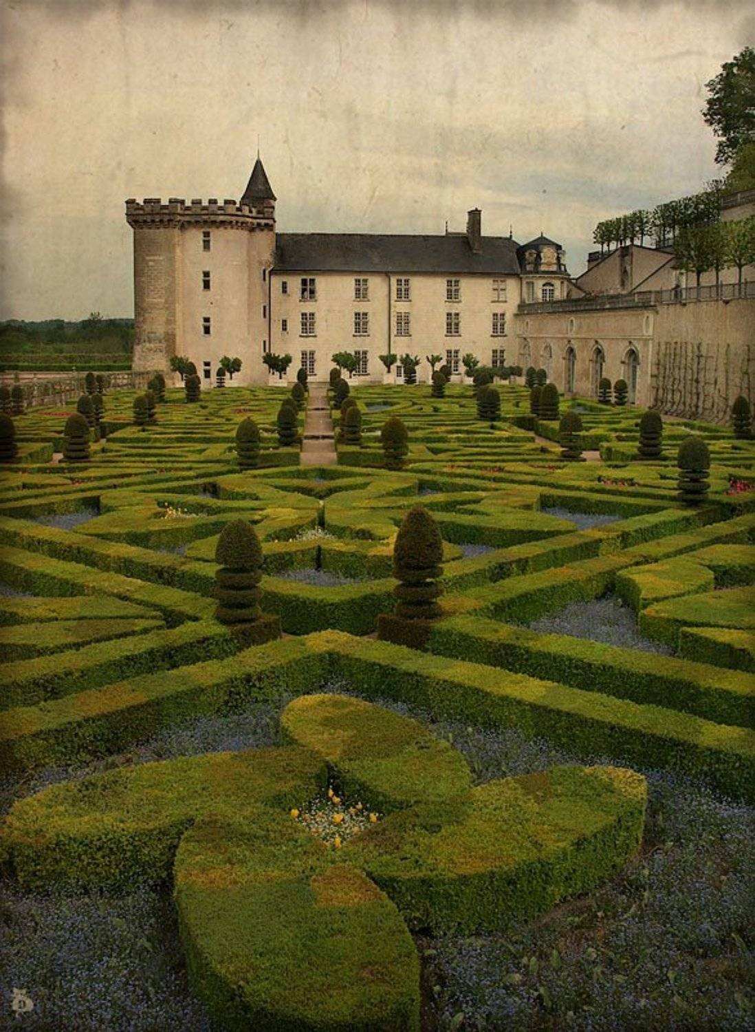 франция, замок, вилландри, старая, сказка, сад, любовь, книга, иллюстрация, Darn Cat