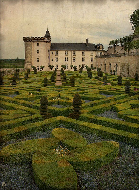 франция, замок, вилландри, старая, сказка, сад, любовь, книга, иллюстрация Старая французская сказка фото превью