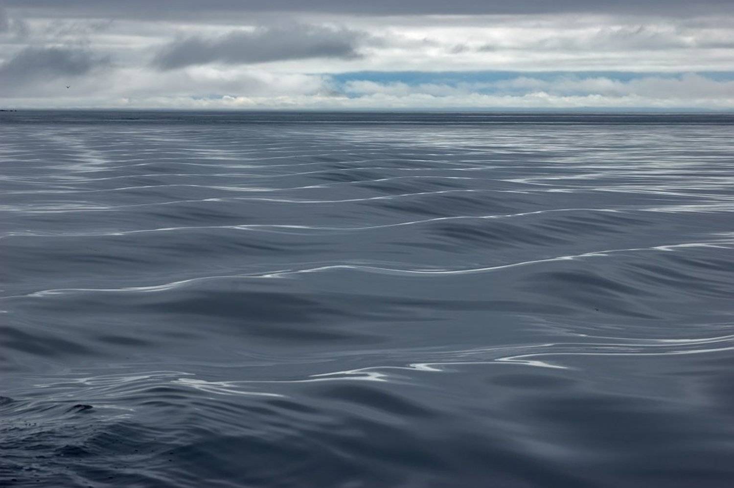 соловецкий архипелаг, заяцкие острова, белое море, свинцовая тягучесть воды, Kaiser Sozo