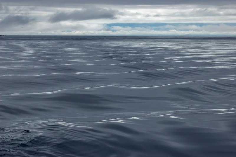соловецкий архипелаг, заяцкие острова, белое море, свинцовая тягучесть воды дзэн #4 фото превью