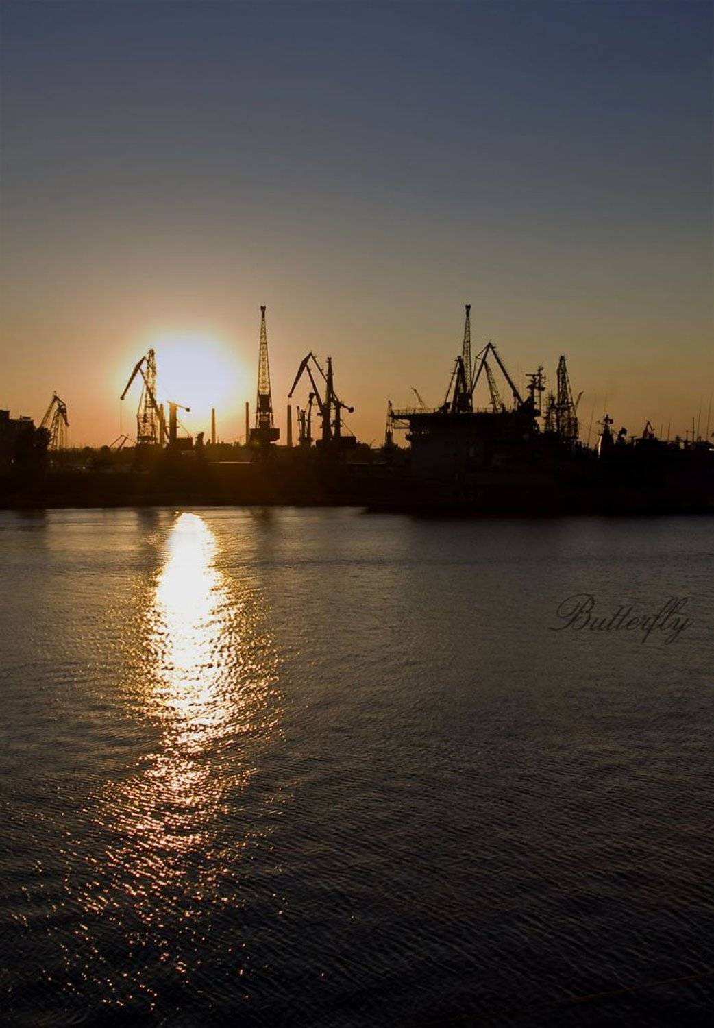 одесса, морвокзал, butterfly