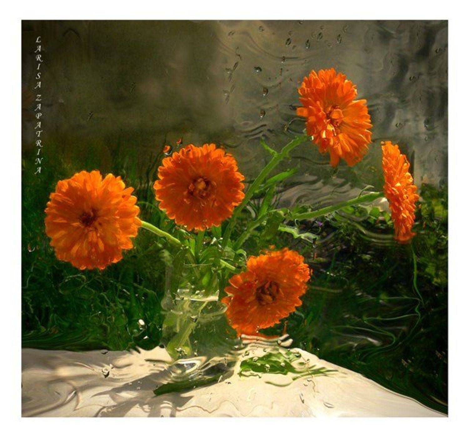 , Лариса Запатрина