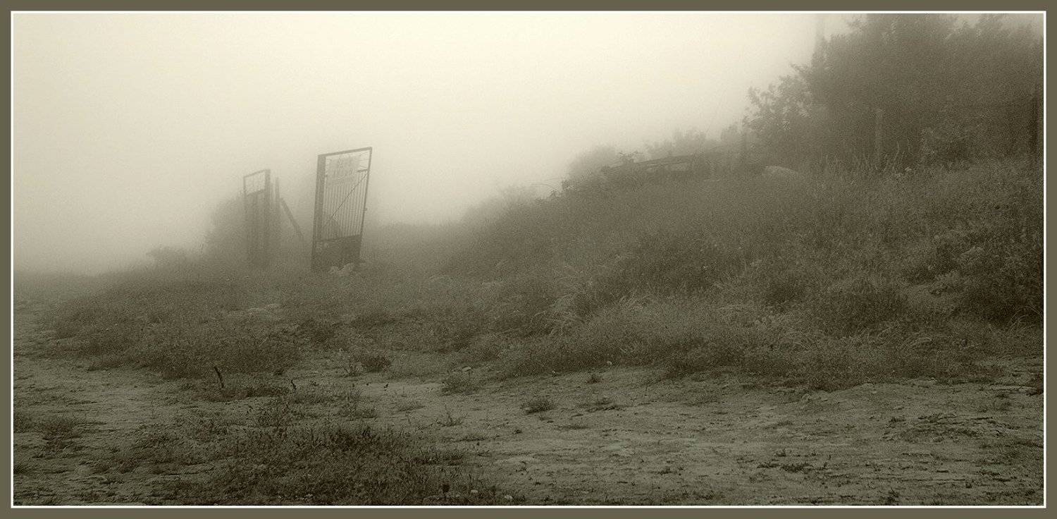 туман, Safronoff Andrew