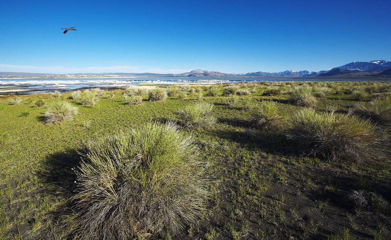 Mono Lake фото превью