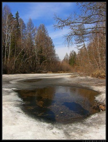 Тело Весны
