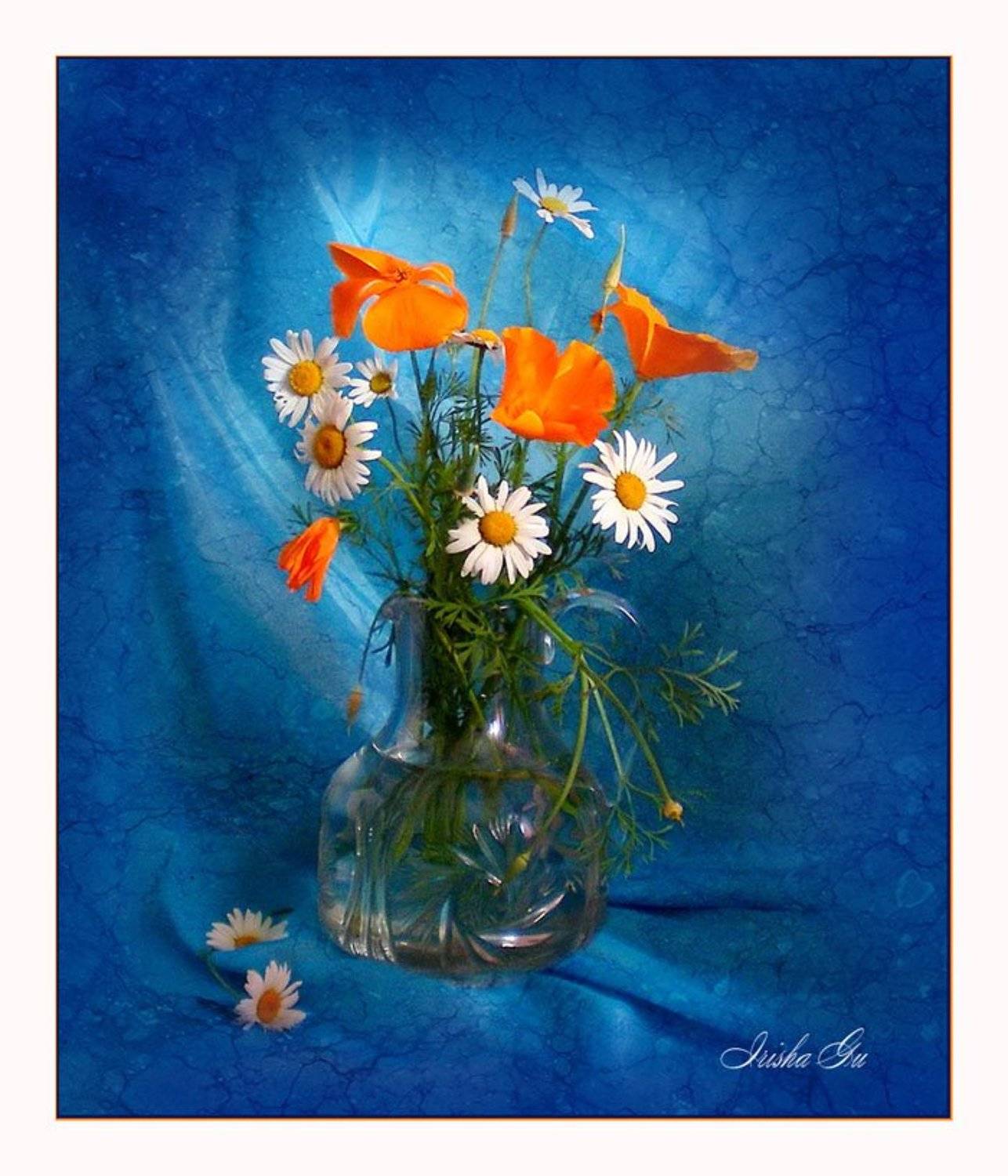 натюрморт, цветы, ромашки, Ирина