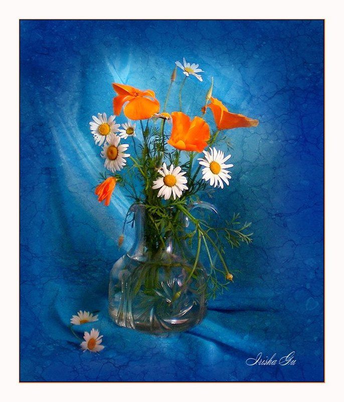 натюрморт, цветы, ромашки  фото превью