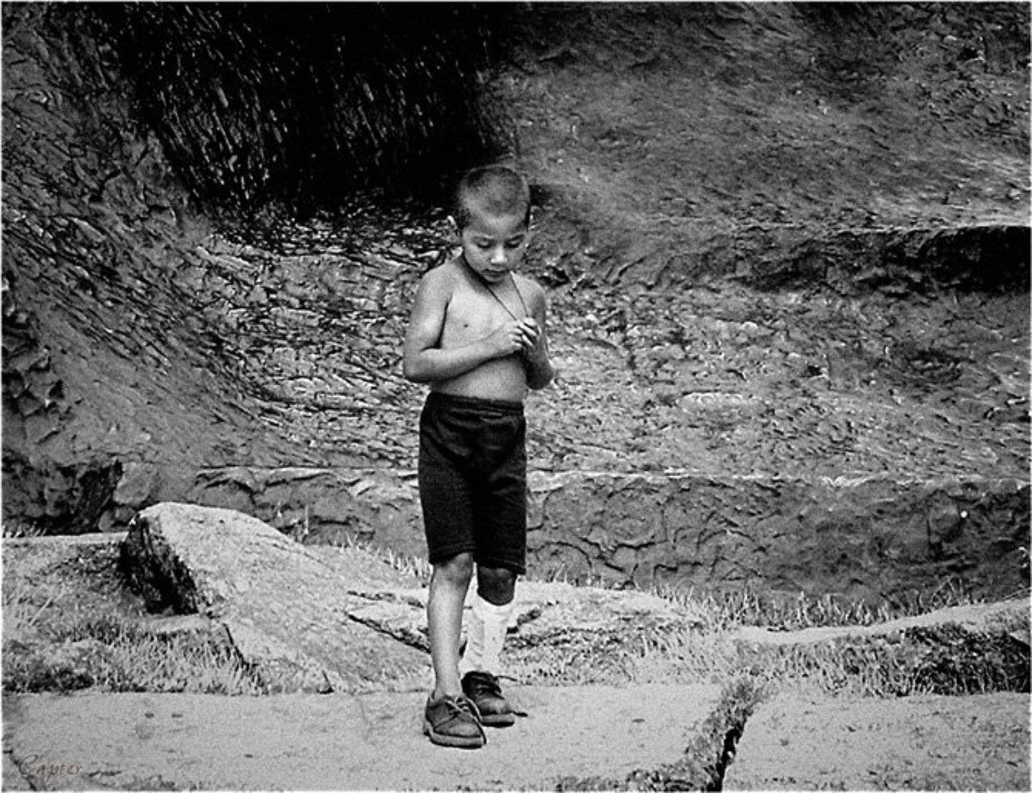 цыганенок, Dmitry Babrovich