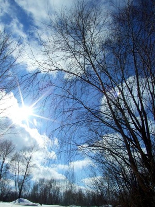 Весна фото превью