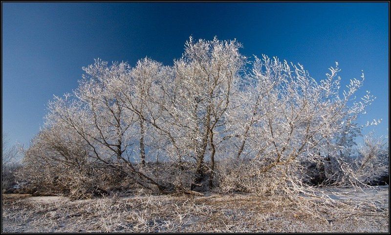 зима, иней, небо, i_go Немного зимы... фото превью