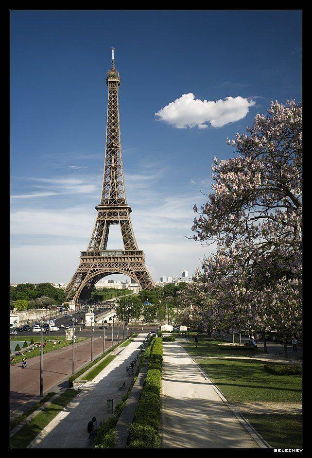 париж, seleznev