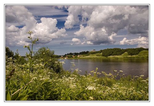 Волховская. Цветочная
