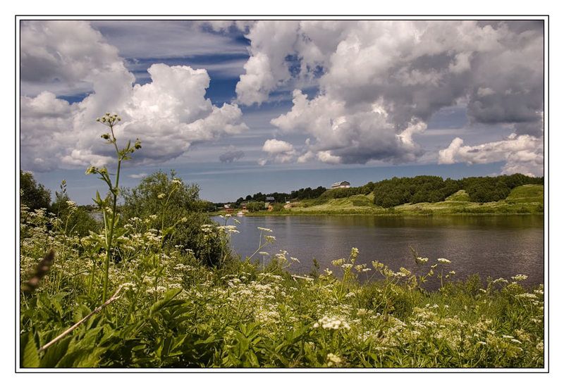 волхов, старая ладога Волховская. Цветочная фото превью