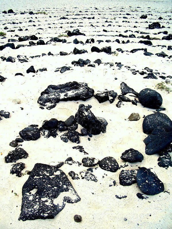 спираль The Spiral World. фото превью