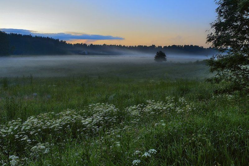 #### фото превью