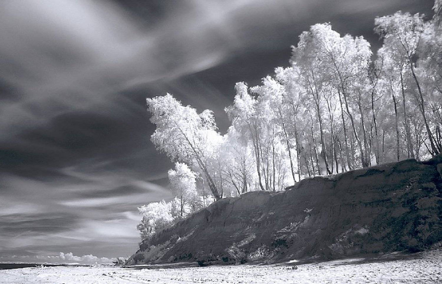 , Павел Дунюшкин