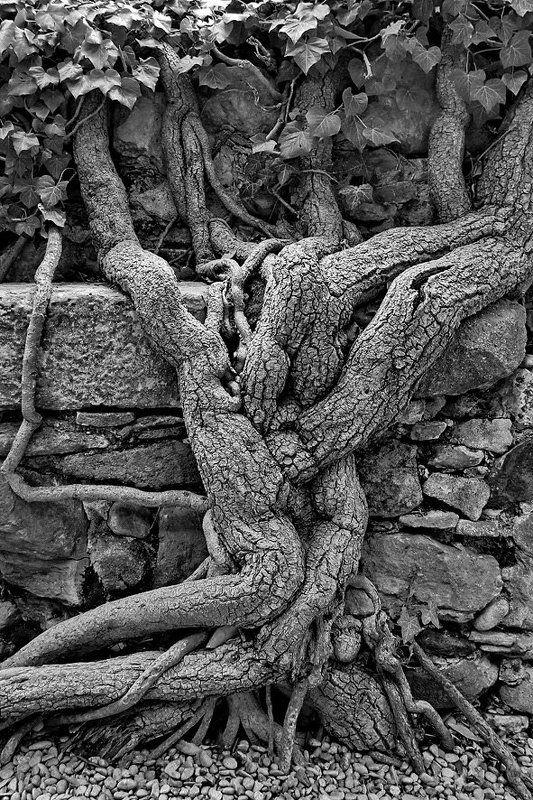 По моему, это любовь... фото превью