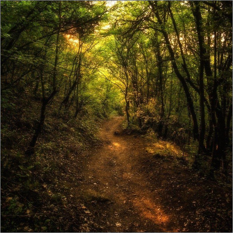 *** фото превью